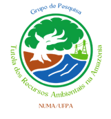Grupo de Pesquisa Tutela dos Recursos Ambientais na Amazônia