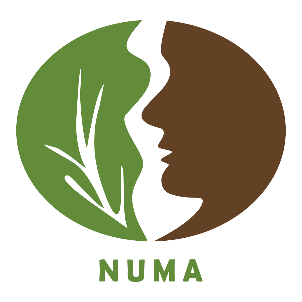 Núcleo de Meio Ambiente - NUMA