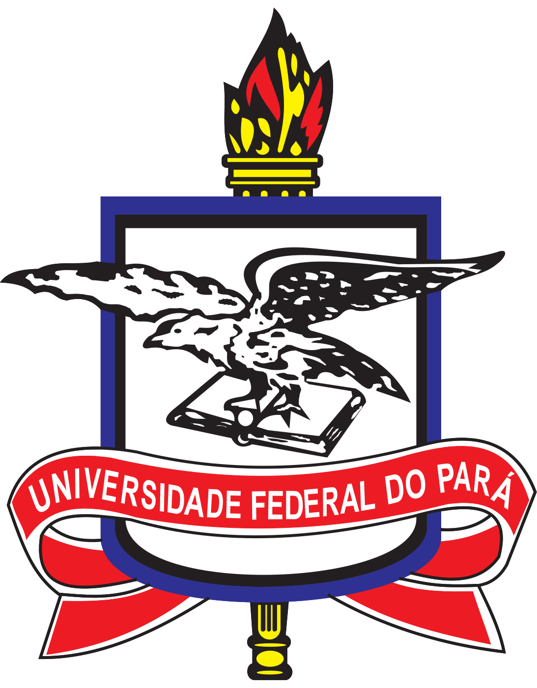Universidade Federal do Pará - UFPA