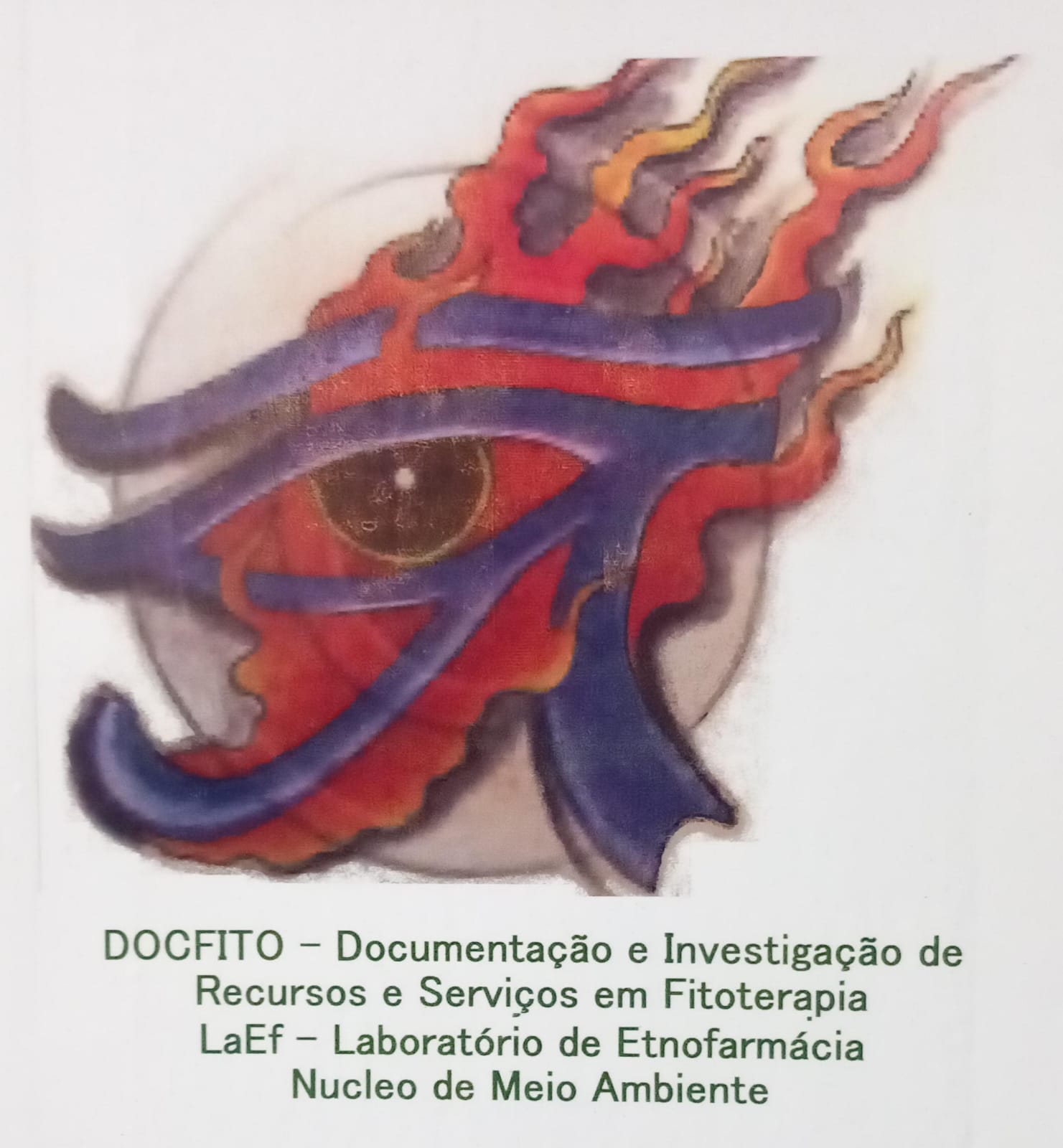Grupo de Pesquisa DOCFITO