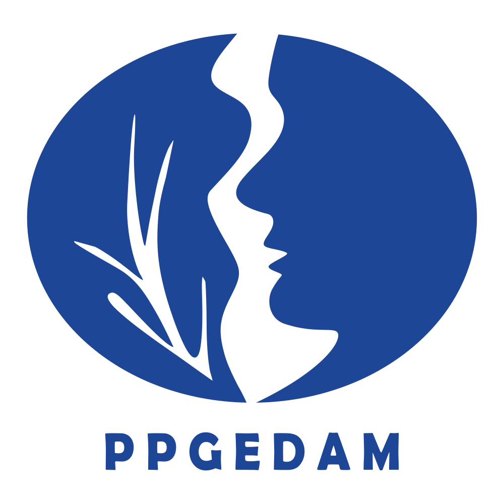 PPGEDAM