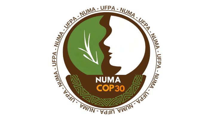 Núcleo de Meio Ambiente - NUMA